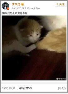 娱乐吃瓜酱小动物视频,小动物娱乐视频大盘点  第1张